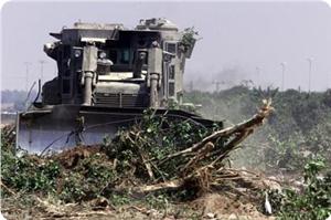 Beytlahim'deki Tarım Arazileri  Siyonistler Tarafından Tahrip Edildi