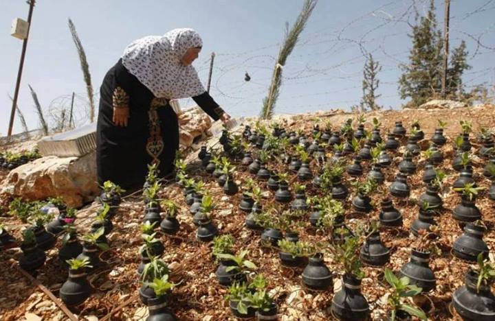 Filistinli Annenin Yürek Yakan Dramı