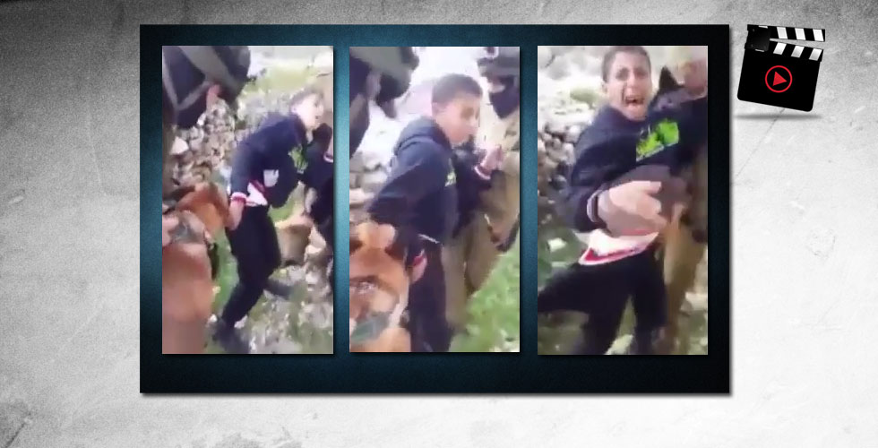 Filistinli çocuğa köpekle işkence yaptılar
