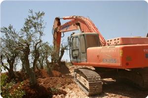 İşgal Buldozerleri Nablus'un Doğusunda 100 Dönüm Tarım Arazisini Tahrip Etti