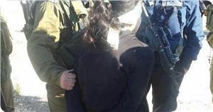 İşgal Güçleri Kudüs ve El-Halil'de Filistinli İki Genç Kızı Gözaltına Aldı