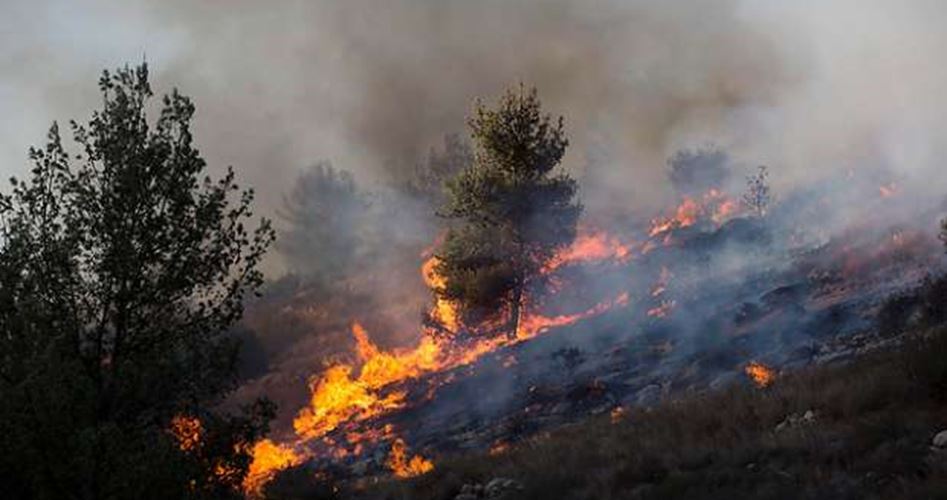 İsrail Kudüs'te Çıkan Orman Yangınlarını Söndüremiyor 