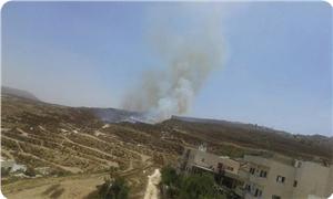 Siyonist Yerleşimciler Filistinlilere Ait Onlarca Dönüm Ekili Araziyi Ateşe Verdi