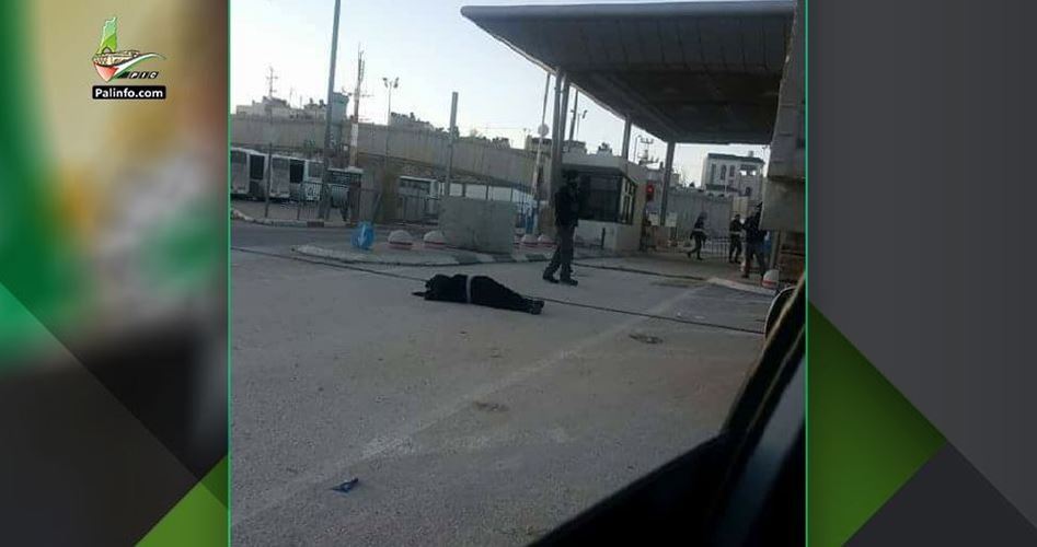 Terörist İsrail Askerleri Bıçaklı Eyleme Niyetlendiği Gerekçesiyle Yaraladığı Genç Kızı Tutukladı