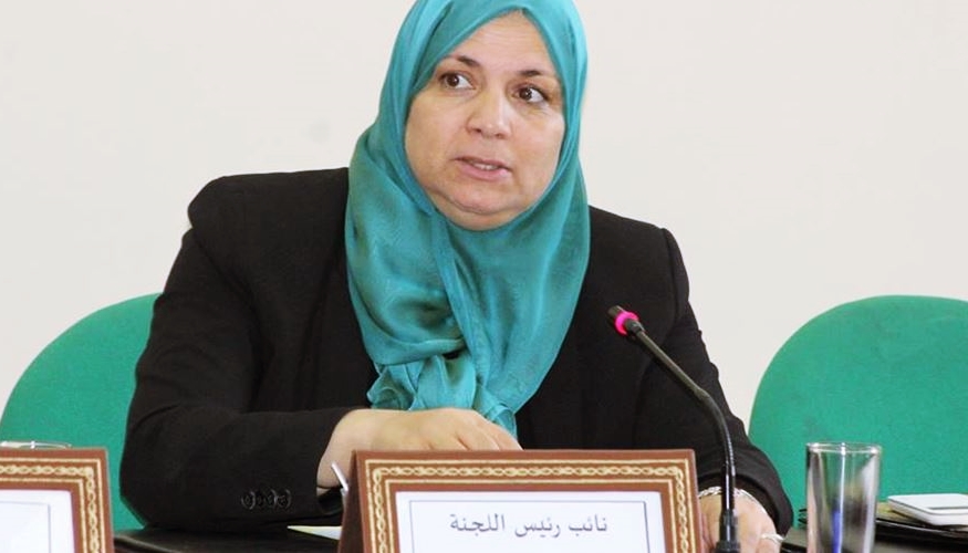 Tunuslu Hanım Parlamenter de Gazze'ye Gidiyor(VİDEO)